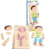 Anatomisk puslespill - Liten gutt