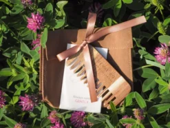 Cheval Roi tilbehør - Striglepose m. 7 deler, Gull