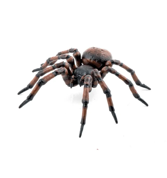 Husedderkopp - L: 6,3 cm
