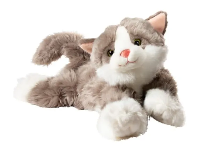 Joyk empatidukke - Katt