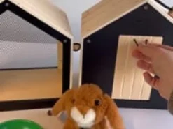 Kaninbur med løpegård