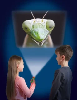 Lommelykt med dias - Insekter