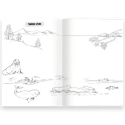 Lær å tegne - Ville dyr
