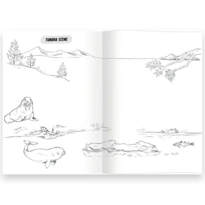 Lær å tegne - Ville dyr