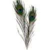 Påfuglfjær, 10 stk