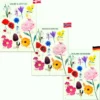 Plakat 50 x 70 cm - Fargene og blomstene