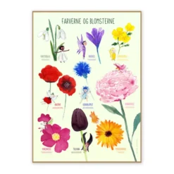 Plakat 50 x 70 cm - Fargene og blomstene
