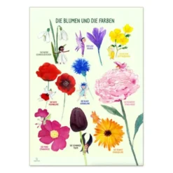 Plakat 50 x 70 cm - Fargene og blomstene