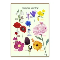 Plakat 50 x 70 cm - Fargene og blomstene