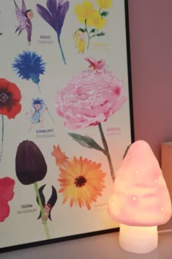 Plakat 50 x 70 cm - Fargene og blomstene