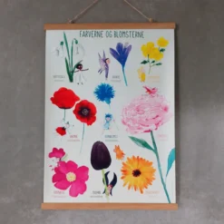 Plakat 50 x 70 cm - Fargene og blomstene