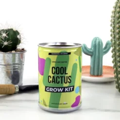 Plant selv sett - Kaktus