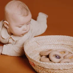Sansedonut Ø7 cm - Gulrøtter