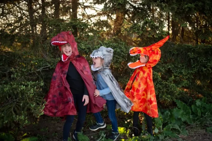 Spinosaurus (str. 4-6 år)