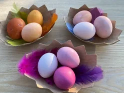 To-delte egg i kartong, 4 stk