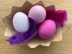 To-delte egg i kartong, 4 stk