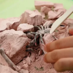 Utgrav insekter og kryp